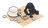 cred-icon-2154