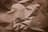 cred-icon-2606