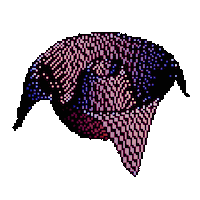 cred-icon-949